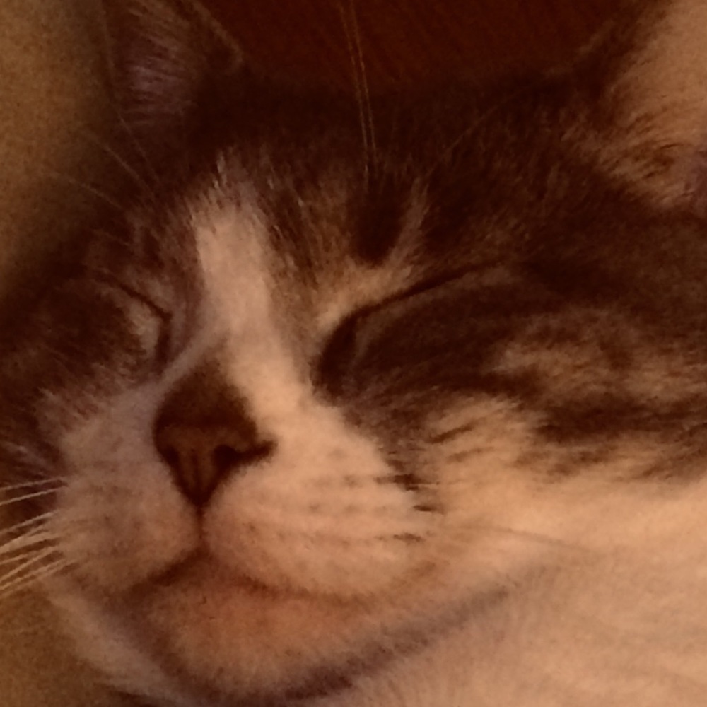 Meet your Posher, Shara